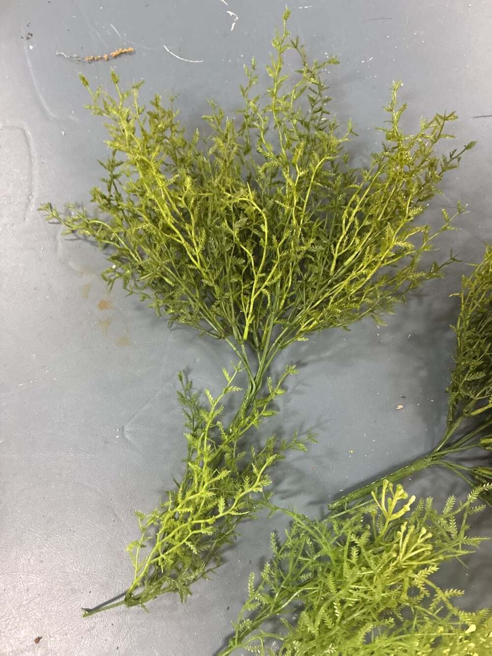 Artificial Decorative Green Dill Bush Plant Sprays